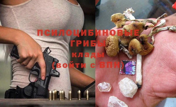 соль курить ск Алексеевка