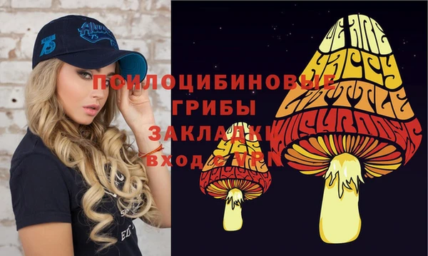 синтетический гашиш Карпинск