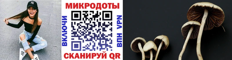 Псилоцибиновые грибы мухоморы  Пошехонье 